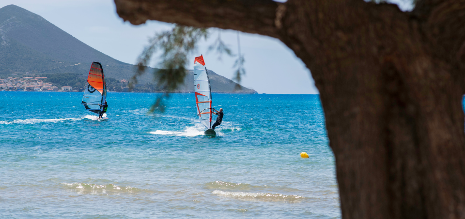 Image of a man windsurfing